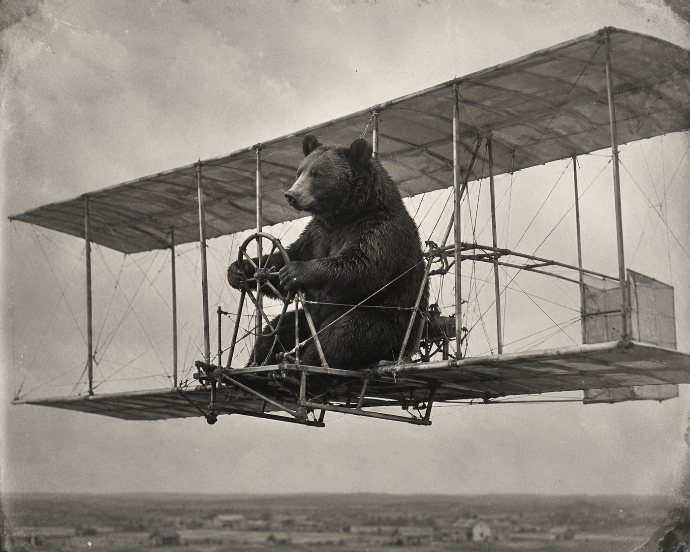 Black Bear Flying